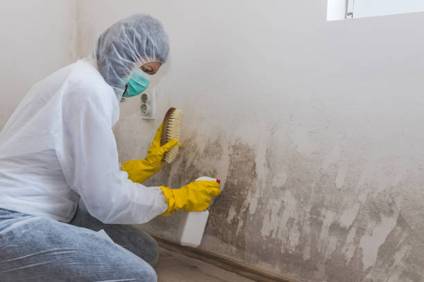 Best Industrial Mold Remediation in Kilmarnock, VA