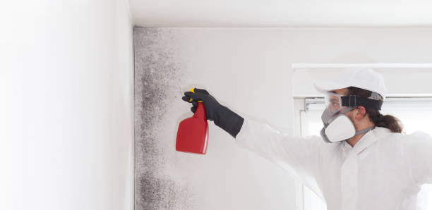 Best Residential Mold Remediation in Kilmarnock, VA