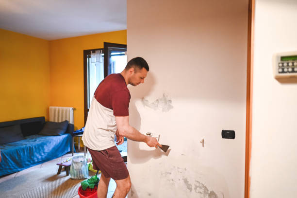 Kilmarnock, VA Mold Remediation Company