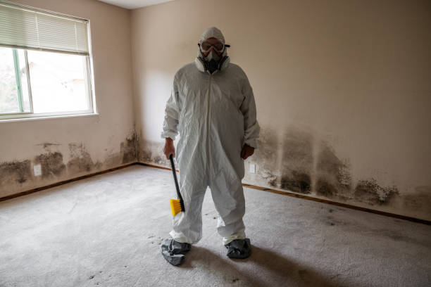 Best Emergency Mold Remediation in Kilmarnock, VA